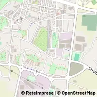 Peta Grugliasco