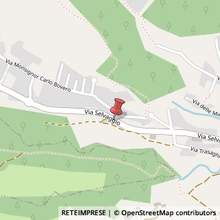 Mappa Via selvaggio 2, 10094 Giaveno, Torino (Piemonte)