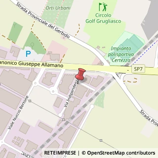 Mappa Via Indipendenza, 9, 10095 Grugliasco, Torino (Piemonte)
