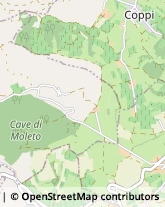 Via Monte Rainero, 39,14100Asti