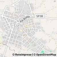 Kort Cursi