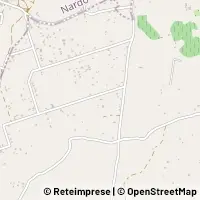 Carte Nardò