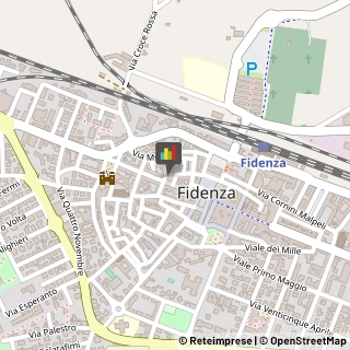Minerali, Conchiglie e Fossili - Collezionismo,43036Parma