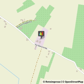 Equitazione - Impianti e Corsi Copparo,44034Ferrara