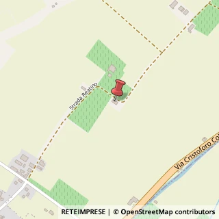 Mappa Strada Reatino, 38, 42017 Novellara, Reggio nell'Emilia (Emilia Romagna)