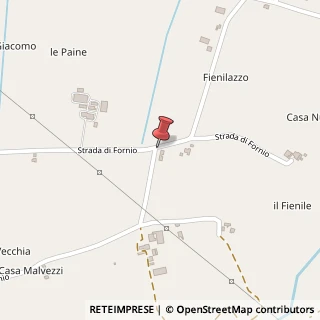 Mappa Frazione Fornio, 62, 43036 Fidenza PR, Italia, 43036 Fidenza, Parma (Emilia Romagna)