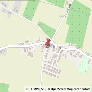 Mappa Via bignardi 19, 41038 San Felice sul Panaro, Modena (Emilia Romagna)