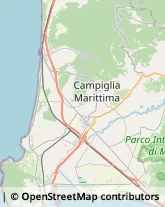 Imprese Edili Campiglia Marittima,57021Livorno