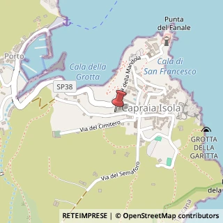 Mappa Via Carlo Alberto, 22, 57032 Capraia Isola, Livorno (Toscana)