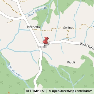 Mappa Località Fercole, 6, 58045 Civitella Paganico, Grosseto (Toscana)