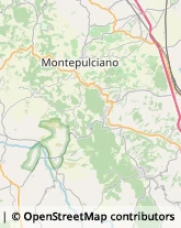 Locande e Camere Ammobiliate Montepulciano,53045Siena