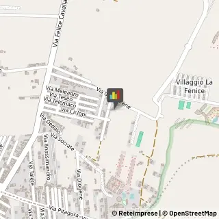 Veterinaria - Ambulatori e Laboratori Castelvetrano,91022Trapani