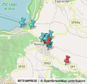 Mappa Via Guglielmo Marconi, 01037 Ronciglione VT, Italia (0.885)