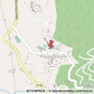 Mappa Via Ternana, 1A, 02047 Poggio Mirteto, Rieti (Lazio)