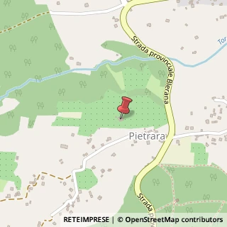 Mappa Via della Pietrara, 16, 01019 Vetralla, Viterbo (Lazio)
