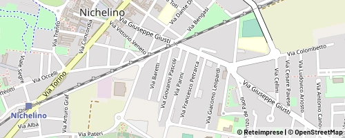 Mappa Nichelino