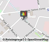 Associazioni Culturali, Artistiche e Ricreative,46029Mantova