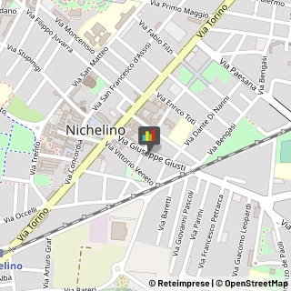 Camicie Nichelino,10042Torino