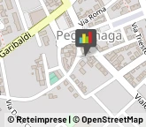 Consulenza di Direzione ed Organizzazione Aziendale Pegognaga,46020Mantova