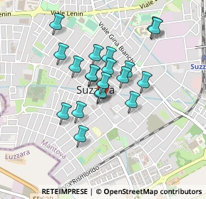 Mappa Piazza Luppi Arrigo, 46029 Suzzara MN, Italia (0.344)