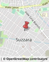 Via E. Toti, 11,46029Suzzara