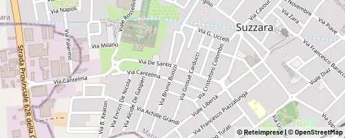 Mappa Suzzara