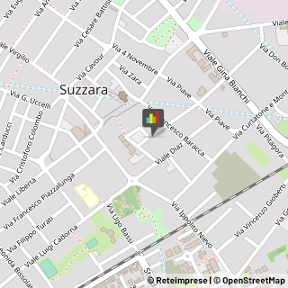 Frutta e Verdura - Dettaglio Suzzara,46029Mantova