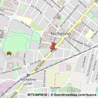 Mappa Via Torino,  210, 10042 Nichelino, Torino (Piemonte)