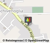 Pavimenti Schivenoglia,46020Mantova