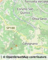 Vini e Spumanti - Produzione e Ingrosso Torrazza Coste,27050Pavia