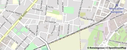 Mappa Nichelino