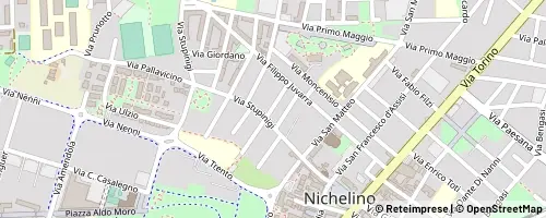 Mappa Nichelino