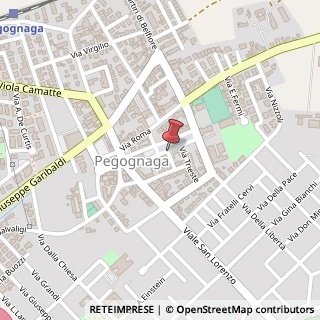 Mappa Piazza Vittorio Veneto,  8, 46020 Pegognaga, Mantova (Lombardia)