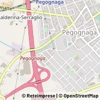 Map Pegognaga