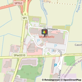 Articoli da Regalo - Dettaglio,27054Pavia