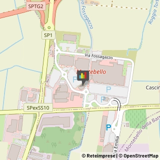 Riso Voghera,27054Pavia
