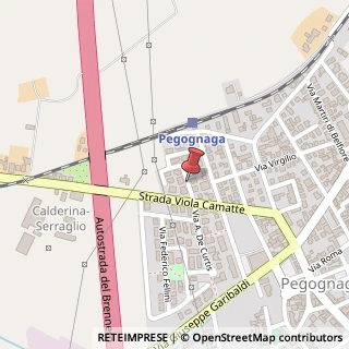 Mappa Via cavour benso camillo 15, 46029 Pegognaga, Mantova (Lombardia)