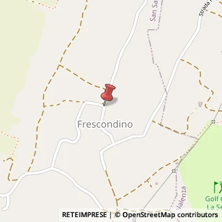 Mappa Strada Comunale Frescondino,  77, 15046 San Salvatore Monferrato, Alessandria (Piemonte)