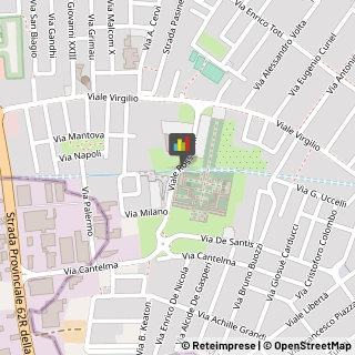,46029Mantova