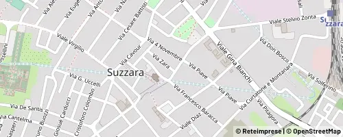 Mappa Suzzara