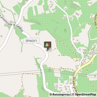 Cantine Sociali Montefalco,06036Perugia