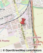 Via Pasubio, 10,63039San Benedetto del Tronto