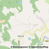 Map San Venanzo