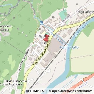Mappa Via Vittorio Veneto, 6, 25052 Piancogno, Brescia (Lombardia)