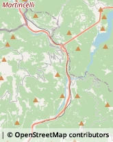 Autotrasporti Cismon del Grappa,36020Vicenza