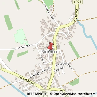 Mappa Via Julia Divisione, 36, 33050 Bicinicco, Udine (Friuli-Venezia Giulia)