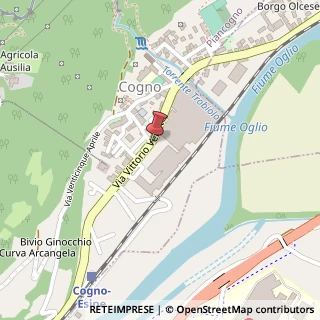 Mappa Via Vittorio Veneto, 207, 25052 Piancogno, Brescia (Lombardia)