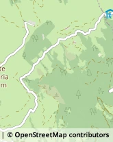 Pneumatici - Commercio Feltre,32032Belluno