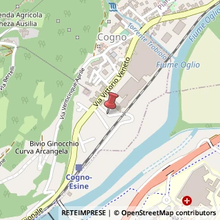 Mappa Via Gaetano Donizetti, 10, 25052 Piancogno, Brescia (Lombardia)