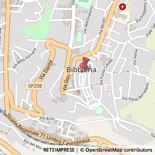 Mappa Via G. Borghi, 84, 52011 Bibbiena, Arezzo (Toscana)